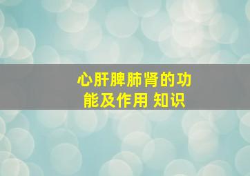 心肝脾肺肾的功能及作用 知识